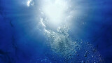 Fototapeta Sypialnia - Underwater Art in sunlight