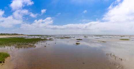 Poster - panorama view of Wadden Sea landscape with reflections in the shallow water