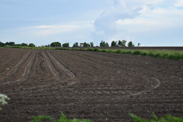 Canvas Print - Farmland