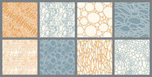 Set Of Abstract Seamless Patterns. Organic Cell Texture. Vector Illustration.