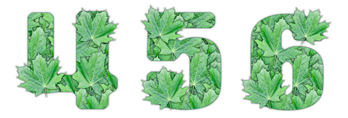 The numbers 4, 5, 6 are made of green maple leaves