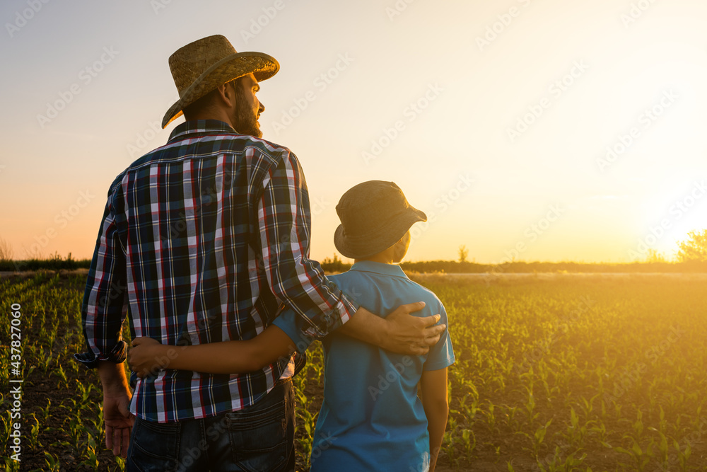 Father and son are standing in their growing wheat field. They are happy because of successful sowing and enjoying sunset. - obrazy, fototapety, plakaty 