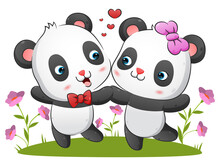 The Couple Of The Kawaii Panda Are Dancing Together With The Happy Expression In The Park