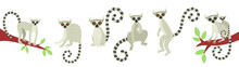 A Set Of Lemurs In Different Poses. Exotic Cute Animals Of Madagascar And Africa. Vector Illustration In Flat Style