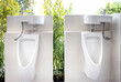 Urinals for men to urinate and hand washing point in the male toilet at park,white urinal with a sink on top of the urinal to conserve water in a public restroom,modern design and save water concept.