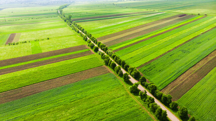 colored fields and road