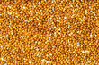 top view of unhulled proso millet grains