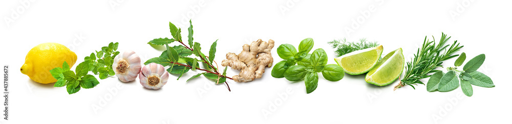 Panoramic background with bunches of fresh garden herbs and spices - obrazy, fototapety, plakaty 