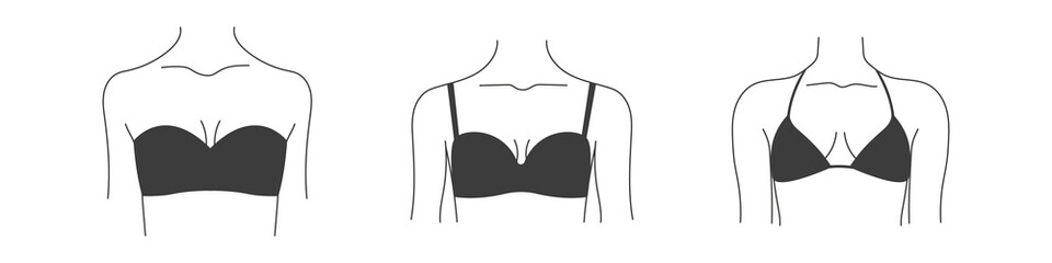 Wall Mural - Types of bras. Collection of lingerie. Vector silhouettes of female underwear