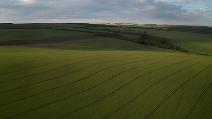 Wall Mural - drone flight above beautiful countryside with green rolling fields at the background of blue sky wit