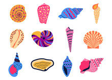 Cartoon Shells. Summer Ocean Animals Collection, Marine Habitants And Aquarium Decoration. Vector Isolated Set