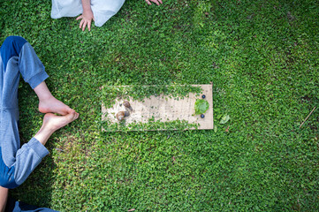 Kids observing two snails