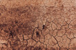 Drought background, top view of dry earth soil texture