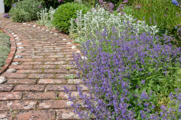 Perennial flower border in a cottage garden