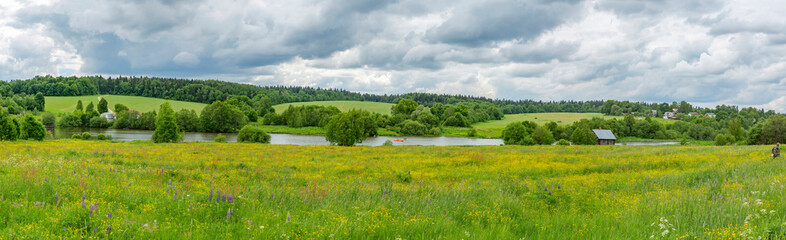 Wall Mural - Classic middle european rural landscape with flowers blooming in the meadow and beautiful sky