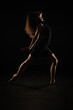 © qunica.com - Silhouette of ballerina