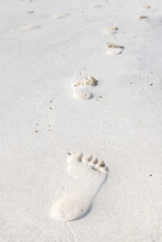 Keep Walking And Moving Forward Concept With Footprints Of Human Feet Walked On The White Sand Beach, Sand Texture, Nature Background.