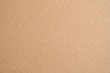 Sticker -  Brown cardboard sheet paper
 texture background