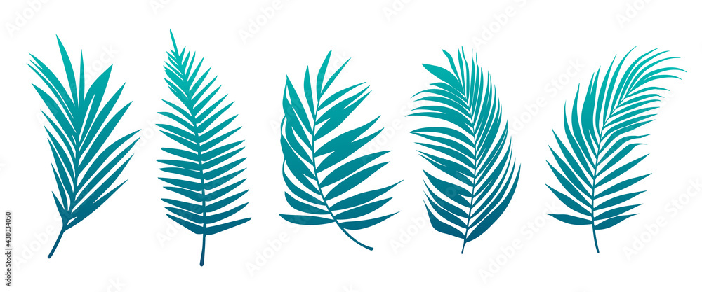 Beautiful palm tree leaf set green background vector illustration - obrazy, fototapety, plakaty 