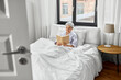 © Syda Productions - old age, leisure and people concept - senior woman reading book in bed at home bedroom