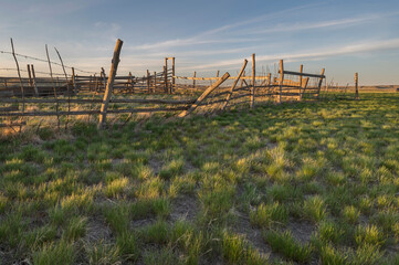 Wall Mural - Evening light on an old corral in Grasslands National Park, Saskatchewan, Canada