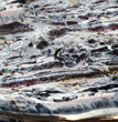 Jasper landscape natural background closeup, texture for design