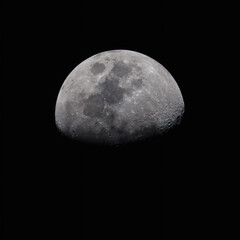 Wall Mural - the moon
