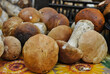 A lot of boletus on the table, close-up view
