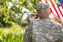 Soldier With Military Dog Outdoors On A Sunny Day