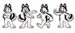 set cartoon of husky dog mascot character