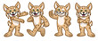 set of cartoon bobcat character