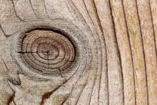 Knothole Closeup In A Wooden Pine Fence Showing Abstract Details, Patterns And Textures.