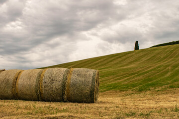 Sticker - Closeup of some hay bales lying on a Tuscan hill.