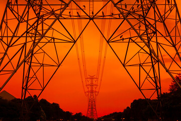 The structure of the high voltage pole and the bird