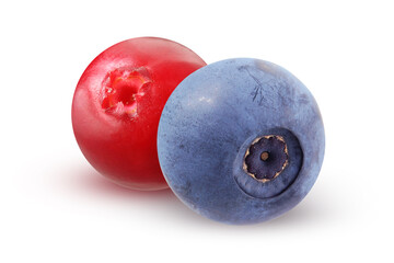 Wall Mural - blueberries and lingonberries, two wild berries isolated on a white.