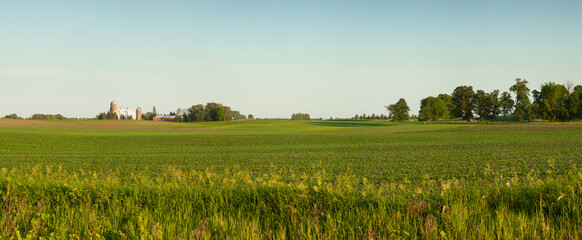 Wall Mural - Panorama of a farm and fields on a sunny spring evening in Minnesota