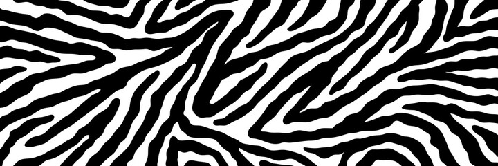 Wall Mural - Vector abstract animalistic background. Freehand illustration of zebra skin print. Long horizontal banner.