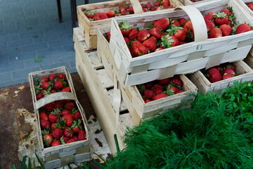 June, Poland, the strawberry season is in full swing. At the vegetable and fruit stalls you can buy fresh strawberries in baskets. Closeup of baskets with ripe fruit.