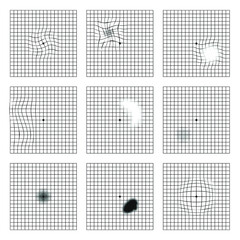 Wall Mural - amsler grid scotoma eye test. oculist vector printable chart retina examination. grid with dot in ce