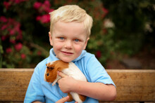 Cute Little Caucasian Boy Holding Pet Guinea Pig Close To His Chest