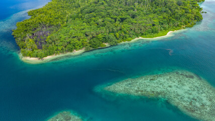 Unihabited tropical island and nearby reef.