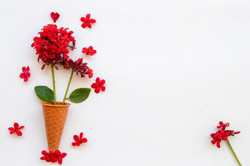 Wall Mural - red flowers rubiaceae local flora of asia arrangement flat lay postcard style on background white 