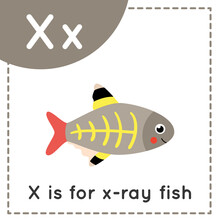 Learning English Alphabet For Kids. Letter X. Cute Cartoon X Ray Fish.