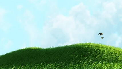 Wall Mural - rim light of grass swaying in the morning. grass swaying with butterfly on blue sky seamless loop ba
