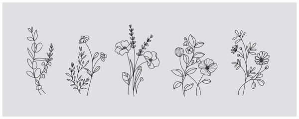 minimal botanical graphic sketch drawing, trendy tiny tattoo design, floral elements vector illustra