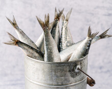 Fresh Sardines In A Bucket