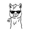Cute llama with sunglasses. Cool alpaca with flower in mouth. Vector illustration isolated on white background. Outline sketch