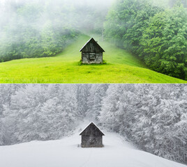 Wall Mural - Collage of two images of a wooden cabin in the forest