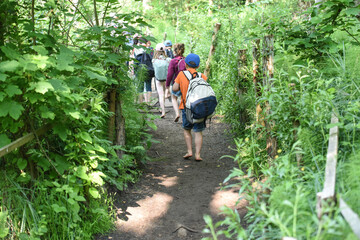 Poster - enfant groupe jeune nature ballade foret bois Lauzelle nature decouverte excursion scolaire Belgique Wallonie environnement sentier