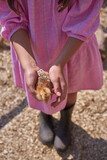 Fototapeta  - girl holding a chick